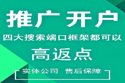 百度推广运营实战：成功案例解析