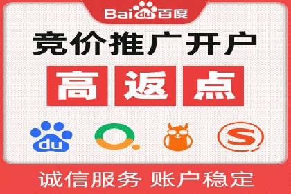成功运用SEM服务实现品牌推广的案例分析